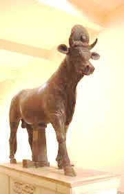 The bull god Apis (deified Kamose)