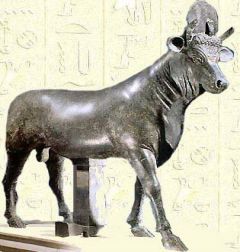 Apis the Egyptian bull god
